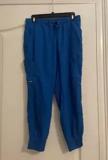 Royal Blue BARCO Grey's Anatomy Jogger Scrub Pants