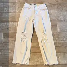 Wild Fable Cream Distressed Straight Wide Leg Jeans