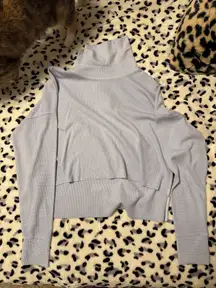 American Eagle Cropped Turtleneck