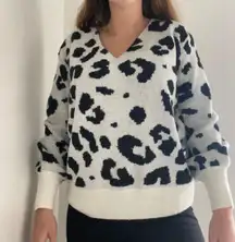 Cheetah Print Sweater