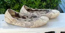 Sam Edelman Felicia Embossed Python Print Ballet Flats women’s USA 7 M Cream