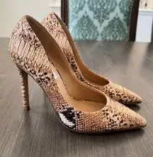 Steve Madden Evelyn Beige Snake stiletto Pointed Toe Pumps heels size 5