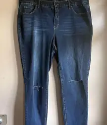 KAARI Blue Curvy Skinny Jeans