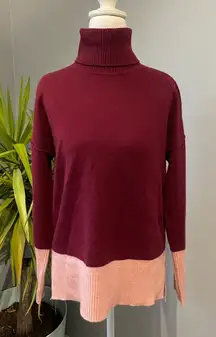 Max Studio 100% 2-ply cashmere colorblock turtleneck sweater