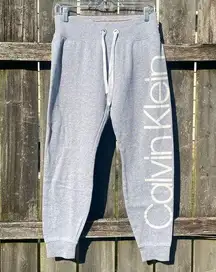 Calvin Klein Performance Gray Jogger Sweatpants | S