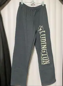 Gildan Ludington Michigan gray sweat pants. 100% cotton