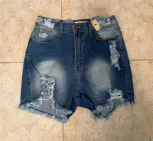 Vibrant Shorts Distressed