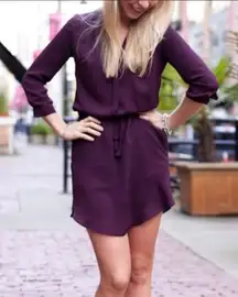 Babaton Aritzia Mini Shirtdress: Plum Wine