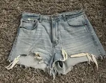 Abercrombie & Fitch the mom high rise jean shorts size 30 10