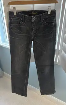 Ann Taylor Modern Fit Jeans