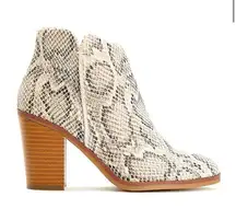 “Maurices” Cameron Snakeskin Boot Size 11 NWOT​