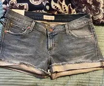 NWT James Jeans Shorty Venice Slouchy Boy Blue Jean Shorts Cut-Off 31 Basic
