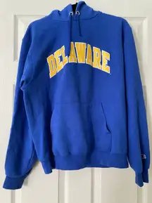 Champion University Of Delaware Hoodie