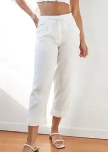 NEW Aritzia Wilfred linen blend Allant Pants