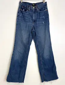 UO BDG Right Rise Crop Straight Leg‎ Jeans Size 25