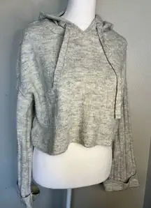 Sincerely Jules Light Gray Hooded Sweater