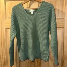 Hooded Rachel Zoe Sweater