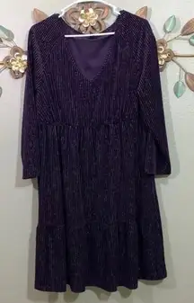Tacera Pullover Velour Elastic Waist V Neck Purple Metallic Dress Size 1X