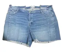 NWOT Abercrombie & Fitch The 7” Dad‎ Short High Rise 37 / 24