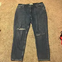 Abercrombie & fitch curve love Jeans