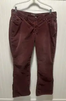 Silver corduroy boot cut flare Jeans Suki Surplus in Burgundy Sz 16 grunge