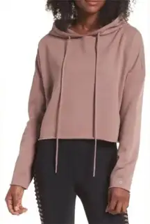 Alo Yoga Smoky Quartz Box Crop Hoodie