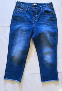 Suzanne Betro Distressed Stretch Cropped Denim Capri Jeans Womens Dark Wash 10