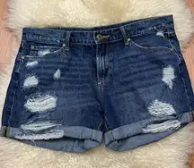 Articles of Society Distressed Cuffed Denim Shorts 29