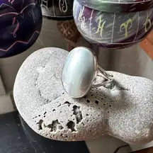 Natural Nautilus Sea Shell Sterling Silver Ring Size 10.5