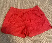 Lace Shorts