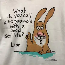 Vtg Shoebox greetings funny humor graphic tee‎ AHERN artwork “Sex Life - Liar”