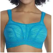 NWT: panache sport bra blue & green