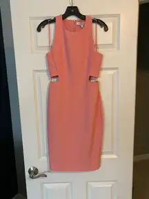 NWT Salmon Pink Tight Cut Our Dress