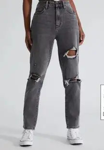 Pacsun High Rise Distressed Rigid Mom Jeans