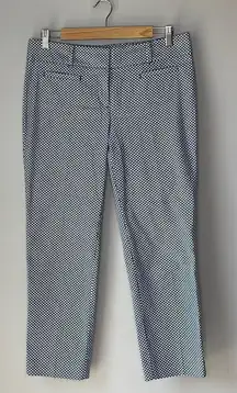 Ann Taylor Devin Fit Crop Pants - Worn Once