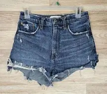 Abercrombie & Fitch Curve Love High Rise Mom Short Distressed Womens Size 27/4