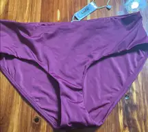 Andie Mulberry Bikini Bottoms