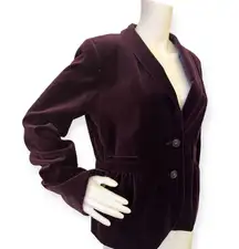 Velvet Blazer 