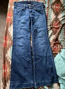 7 for all mankind jeans size 26 dojo