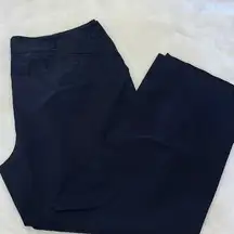 Apostrophe Women’s Black Pants 20W