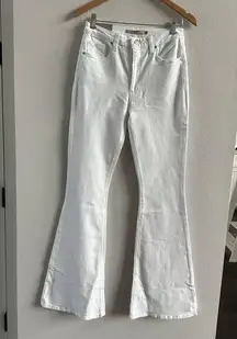 Hudson Jeans Holly High Rise Flare Jean Size 27 New