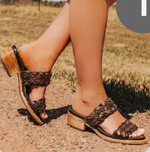 Freebird ginger braided distressed black leather sandals