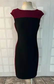 Lauren Ralph Lauren color block sleeveless sheath dress size 8