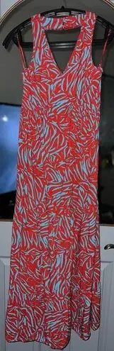 Japna Blue and Red Tiger-Like Print Dress