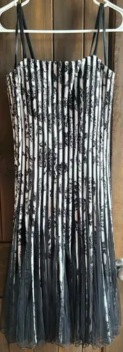 Maner Black and White Striped Dress