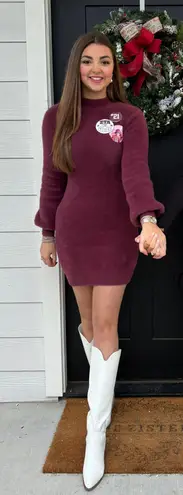 These Three Boutique Turtle Neck Sweater Dress