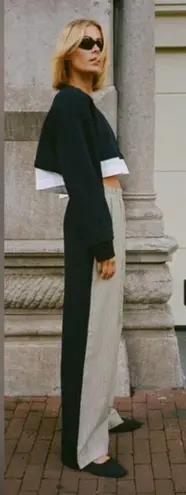 ZARA Contrast Pants