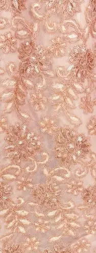 NWT Katherine Kelly Lace Dress Sheath Mesh Overlay Sequin in Peach Pink Size 2