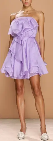 NWOT Sonya Moda Rosa Strapless Silk Lilac Purple Organza mini Dress sz S