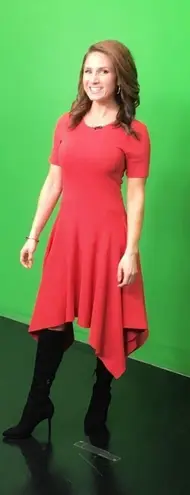 TY-LR The Odessa women’s asymmetrical Knit dress in Rust size small S